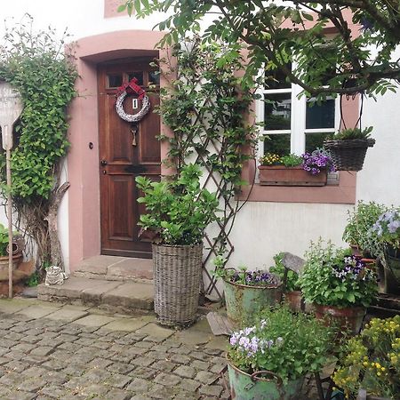 All Seasons Bed & Breakfast Kerpen  Exterior foto