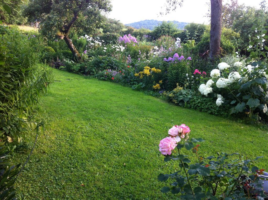 All Seasons Bed & Breakfast Kerpen  Exterior foto